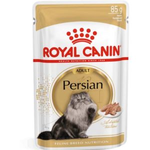 پوچ گربه رویال کنین پرشین